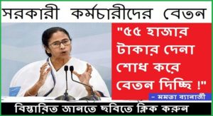 Mamata Banerjee Speech On Government Employee Salary